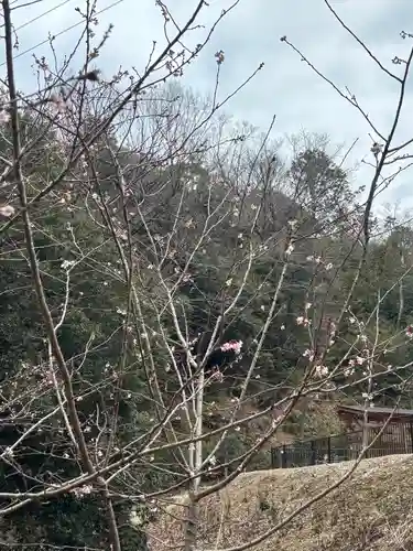 大縣神社(愛知県)