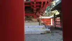 一瓶塚稲荷神社(栃木県)