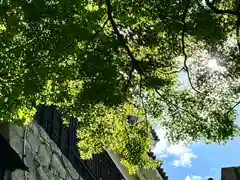 眞田神社(長野県)