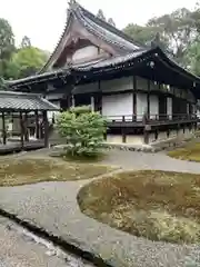 醍醐寺(京都府)