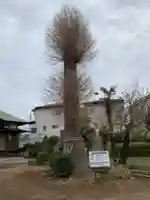 根立寺の自然