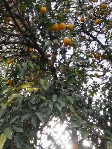 金乗院放光寺の庭園