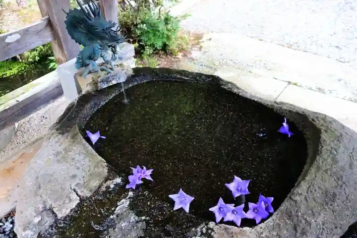 鹿島大神宮の手水舎