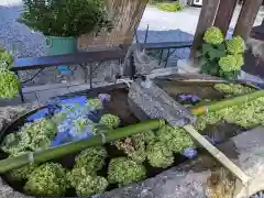 西宮神社(岐阜県)