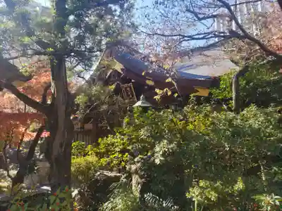 愛宕神社(東京都)