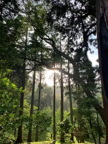 日月神社の自然