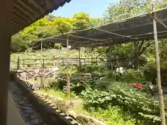 長谷寺の庭園