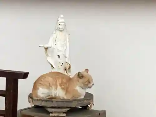 南法華寺（壷阪寺）の動物