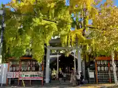 波除神社（波除稲荷神社）の鳥居