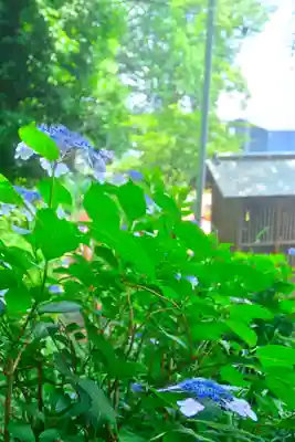 谷保天満宮(東京都)