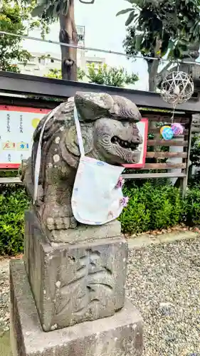 菊田神社の狛犬