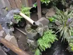 心城院の庭園