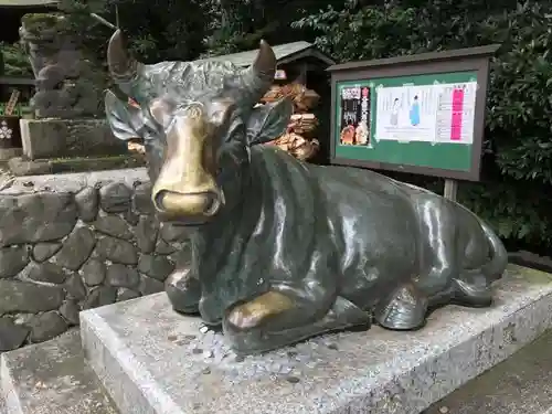 谷保天満宮の狛犬