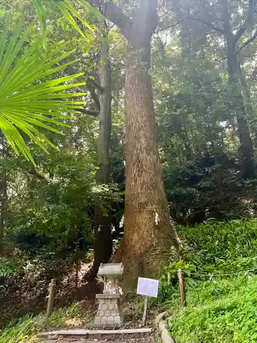 八幡神社(静岡県)