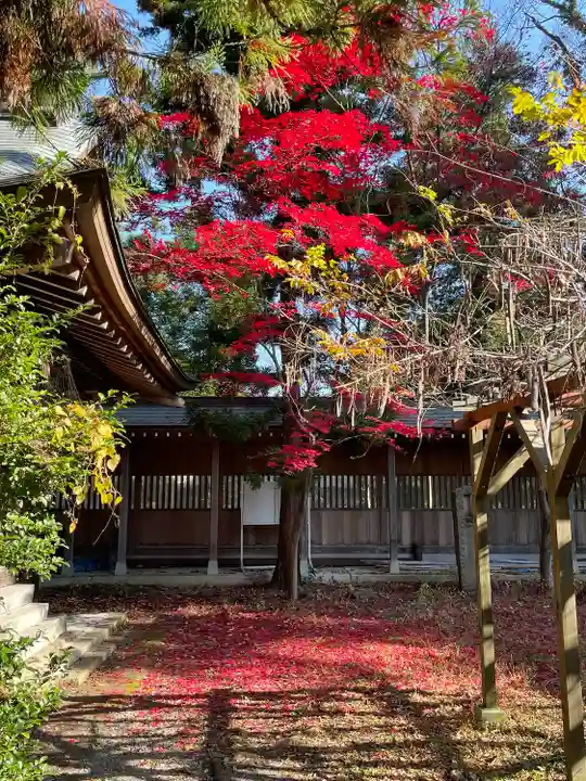 蠶養國神社の自然