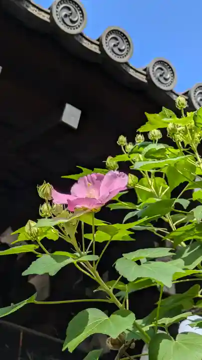 後白河院御聖蹟 法住寺(京都府)