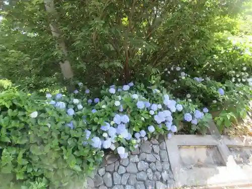 少林寺(埼玉県)