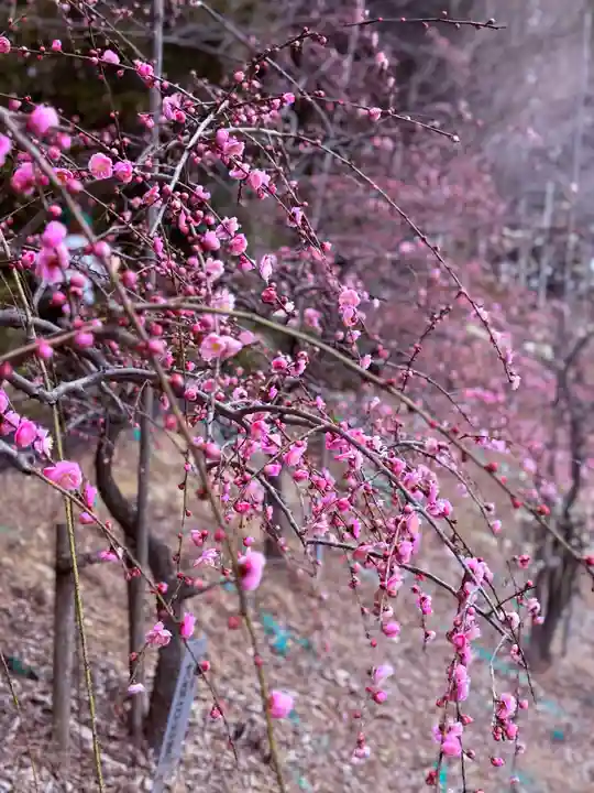 大縣神社(愛知県)