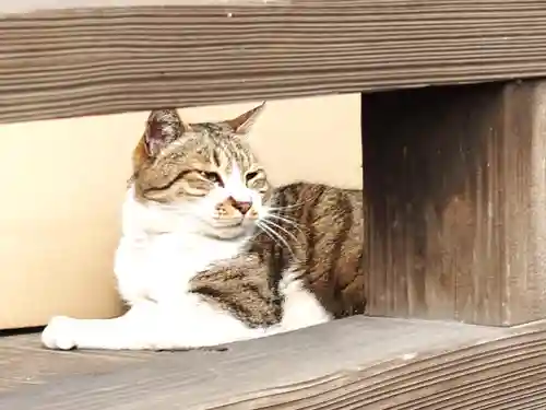 阿邪訶根神社(福島県)