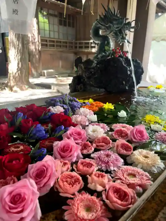 世田谷八幡宮(東京都)