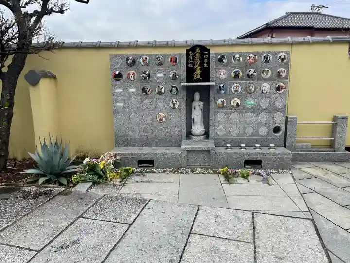 妙典寺の{uncategorized: "未分類", other: "その他", undefined: "問題あり", building: "その他建物", grave: "お墓", sacred_gate: "鳥居", guardian: "狛犬", statue: "像", buddha: "仏像", history: "歴史", nature: "自然", garden: "庭園", animal: "動物", pagoda: "塔", temizu: "手水舎", mountain_gate: "山門・神門", sanctuary: "本殿・本堂", subordinate: "末社・摂社", art: "芸術", scenery: "景色", jizo: "地蔵", ema: "絵馬", goshuin: "御朱印", omikuji: "おみくじ", items: "授与品その他", amulet: "お守り", goshuincho: "御朱印帳", eats: "食事", festival: "お祭り", votive_dance: "神楽", shichigosan: "七五三参", wedding: "結婚式", experience: "体験その他", initially: "初詣", around: "周辺", anti_infection: "感染症対策"}