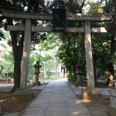 赤坂氷川神社の鳥居