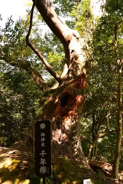文殊仙寺(大分県)
