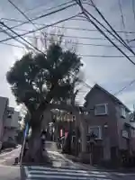 中目黒八幡神社(東京都)