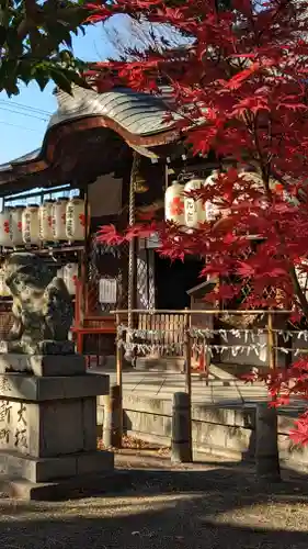 縣神社の自然