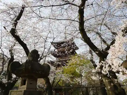 上野東照宮の自然