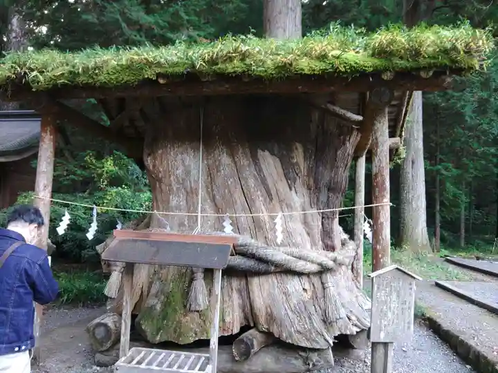 小國神社(静岡県)