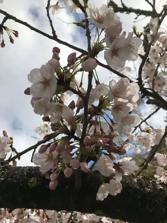 金剛宝寺(紀三井寺)の自然