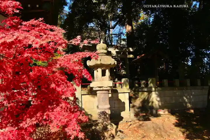 美和神社(群馬県)
