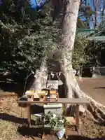 酒門神社(茨城県)