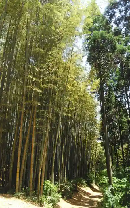 武雄神社の自然
