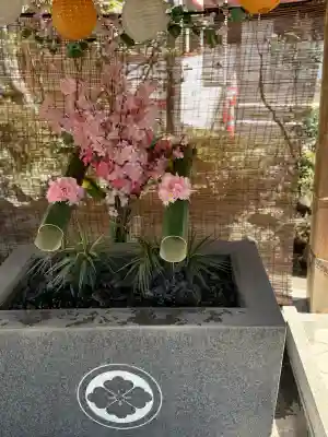 仙台大神宮の{uncategorized: "未分類", other: "その他", undefined: "問題あり", building: "その他建物", grave: "お墓", sacred_gate: "鳥居", guardian: "狛犬", statue: "像", buddha: "仏像", history: "歴史", nature: "自然", garden: "庭園", animal: "動物", pagoda: "塔", temizu: "手水舎", mountain_gate: "山門・神門", sanctuary: "本殿・本堂", subordinate: "末社・摂社", art: "芸術", scenery: "景色", jizo: "地蔵", ema: "絵馬", goshuin: "御朱印", omikuji: "おみくじ", items: "授与品その他", amulet: "お守り", goshuincho: "御朱印帳", eats: "食事", festival: "お祭り", votive_dance: "神楽", shichigosan: "七五三参", wedding: "結婚式", experience: "体験その他", initially: "初詣", around: "周辺", anti_infection: "感染症対策"}