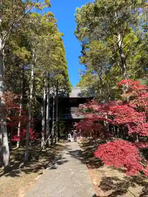 曹源寺のその他建物
