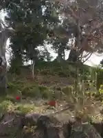 真福寺(埼玉県)