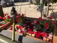 三津厳島神社の手水舎