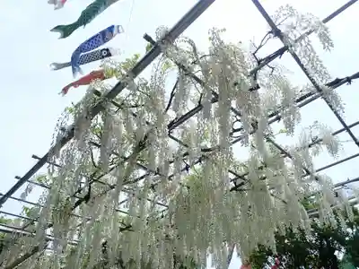 時宗総本山 遊行寺（正式：清浄光寺）(神奈川県)
