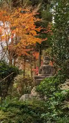 龍安寺(京都府)