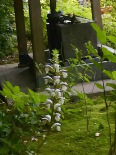 安國論寺（安国論寺）の自然