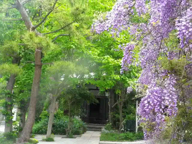 別願寺のその他建物