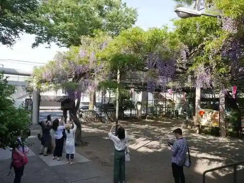 國領神社の庭園