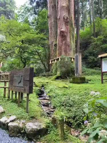 御岩神社の自然