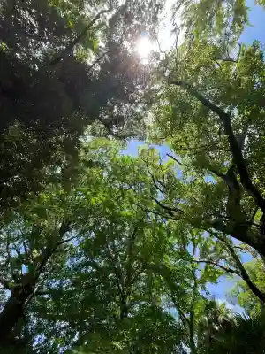 若宮神明社(愛知県)