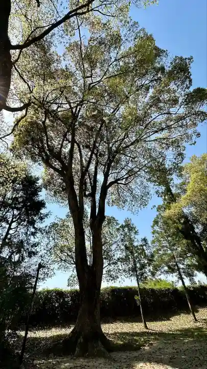 大神神社(奈良県)