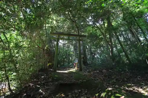 平濱八幡宮の鳥居