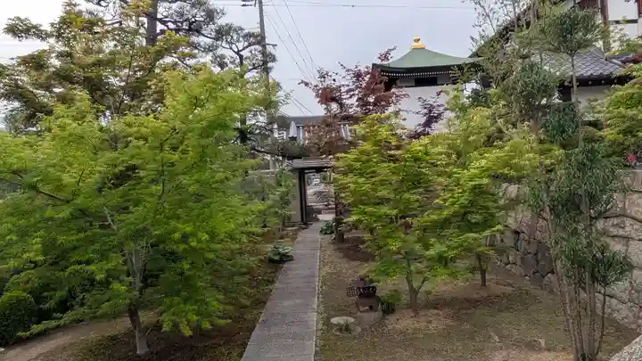 薬薗寺(京都府)