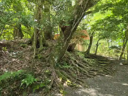 井頭神社(奈良県)